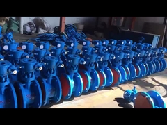 पानी, भाप और तेल के उपयोग के लिए कास्ट स्टील डब्ल्यूसीबी ट्रिपल ऑफसेट फ्लेन्ज्ड तितली वाल्व