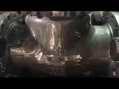 एएसएमई एपीआई मानक डब्ल्यूसीबी सीएफ 8 सीएफ 8 एम स्विंग चेक वाल्व