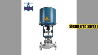 थर्मोस्टेटिक स्टीम ट्रैप एनर्जी सेवर